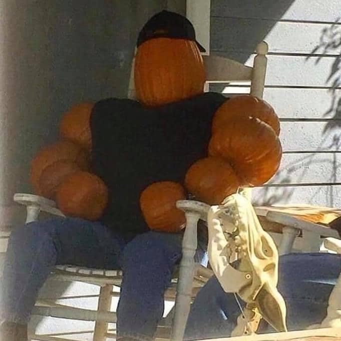 Pumpkin Bro Meme Template