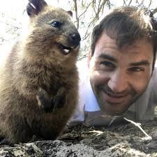 Quokka Joy Meme Template