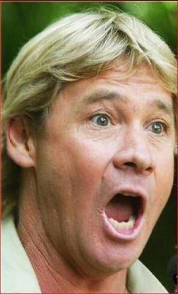 Steve Irwin Shocked Meme Template