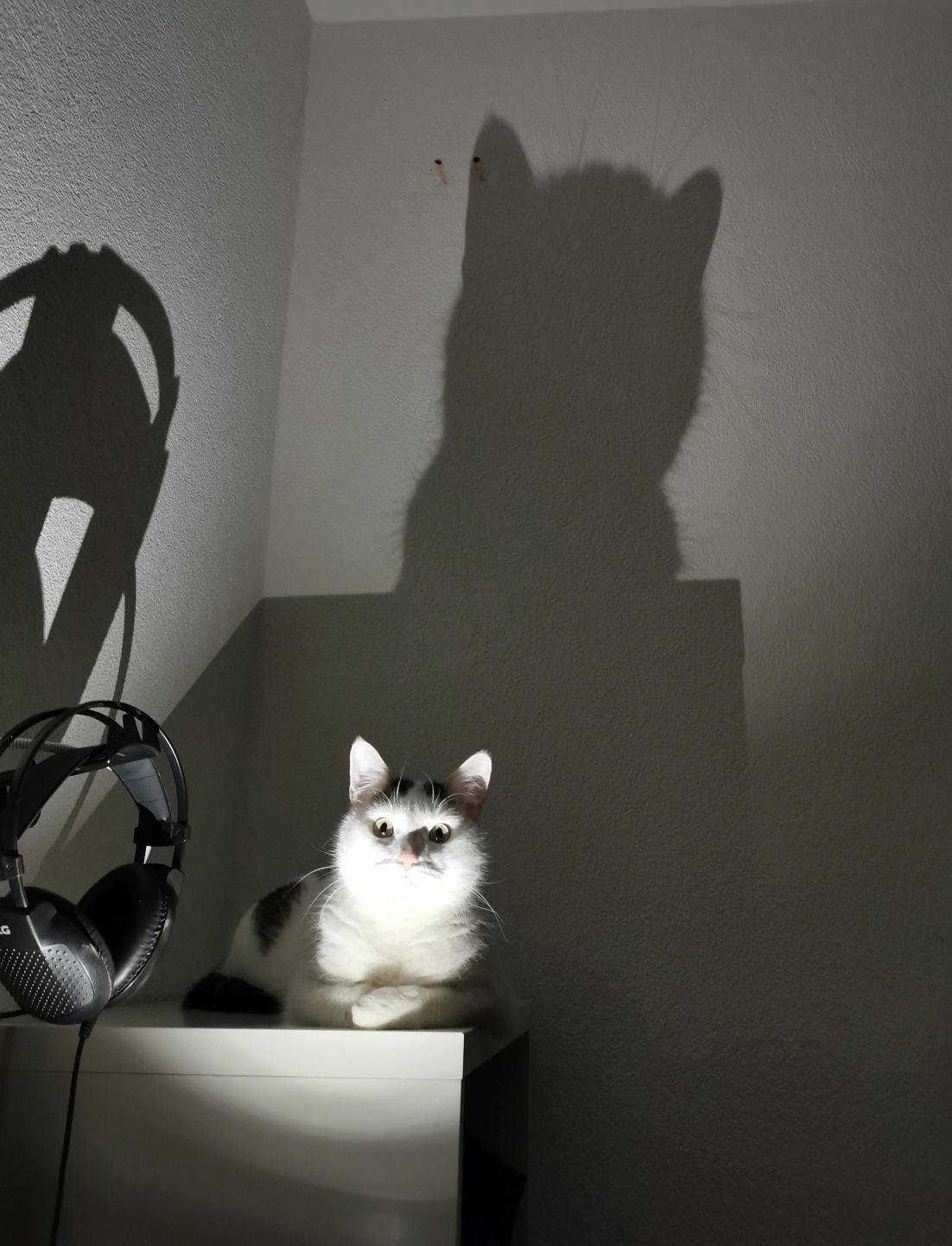 Timesheet Meme Template