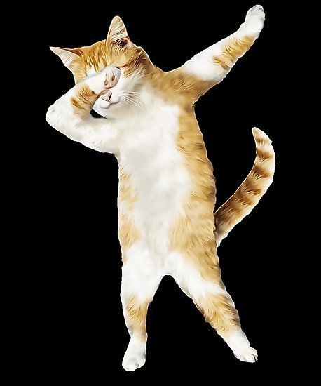 dabbing Cat Meme Template