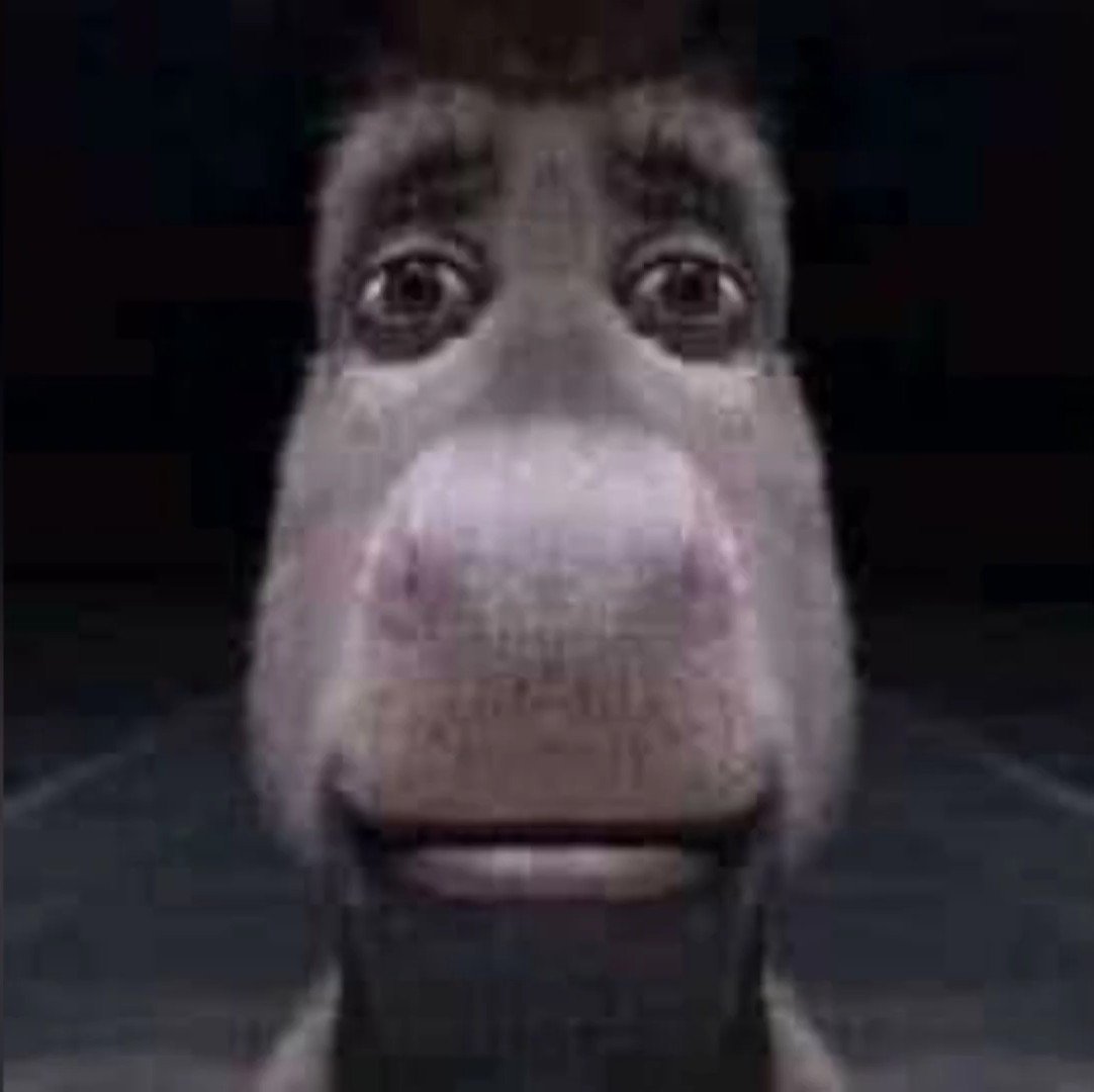 Donkey Stare Meme Template