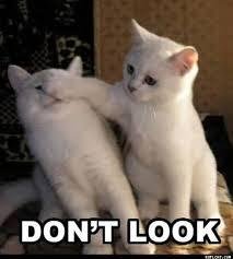 Don't Look The Memes Template
