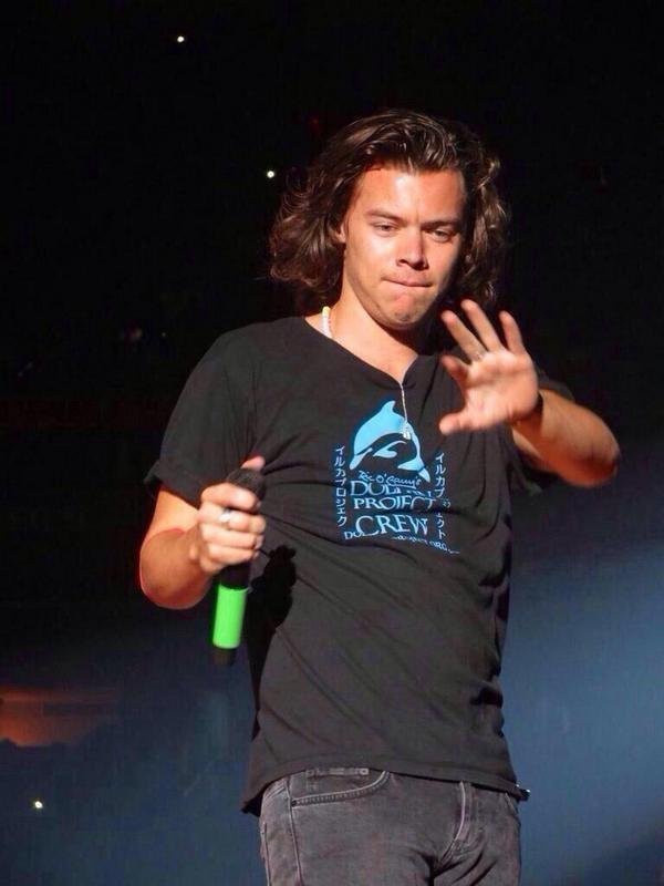 One Direction Harry Styles Template