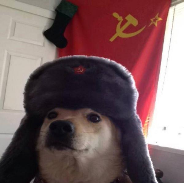 Russian Doge Template