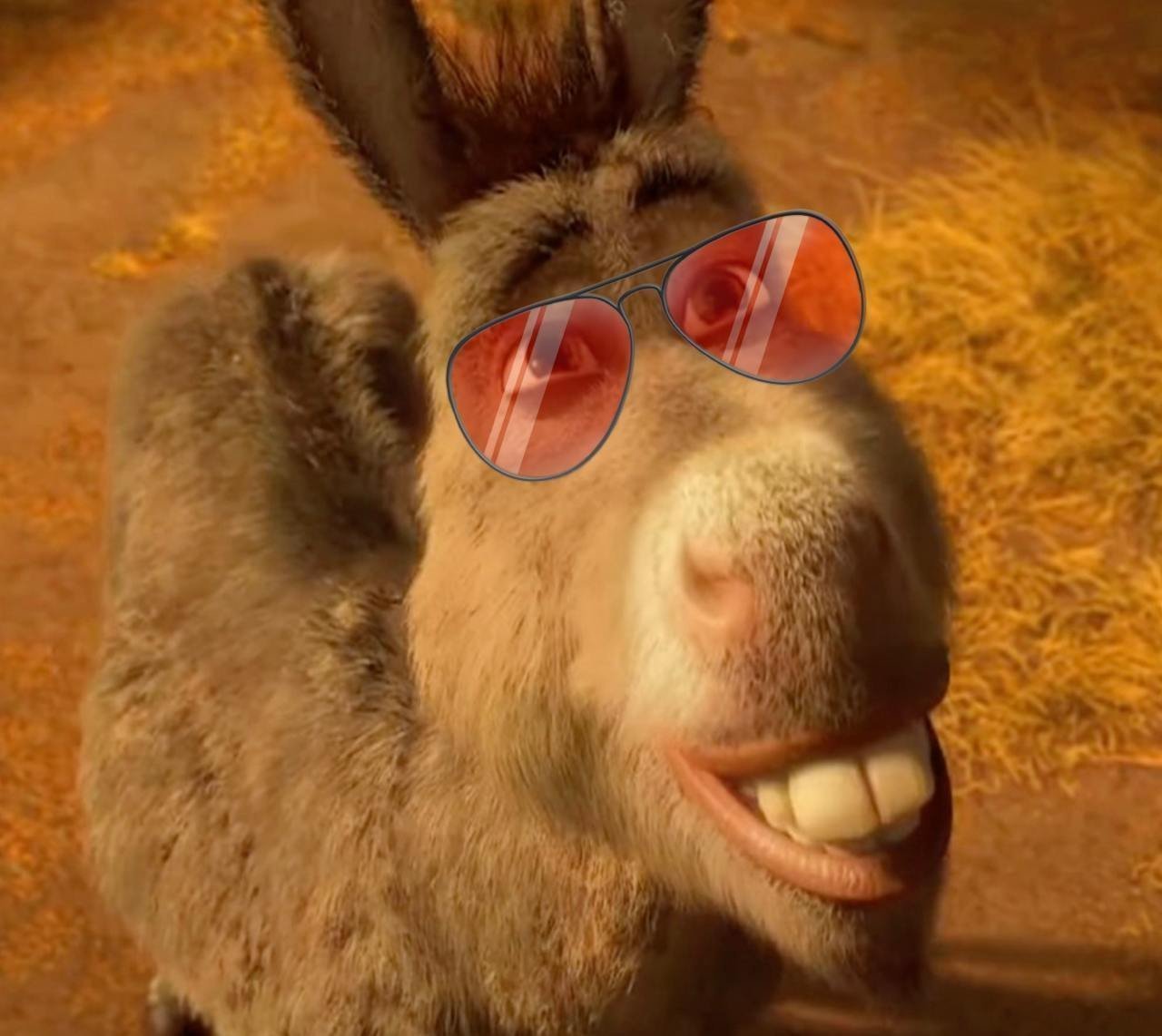 Rizz Donkey Meme Template