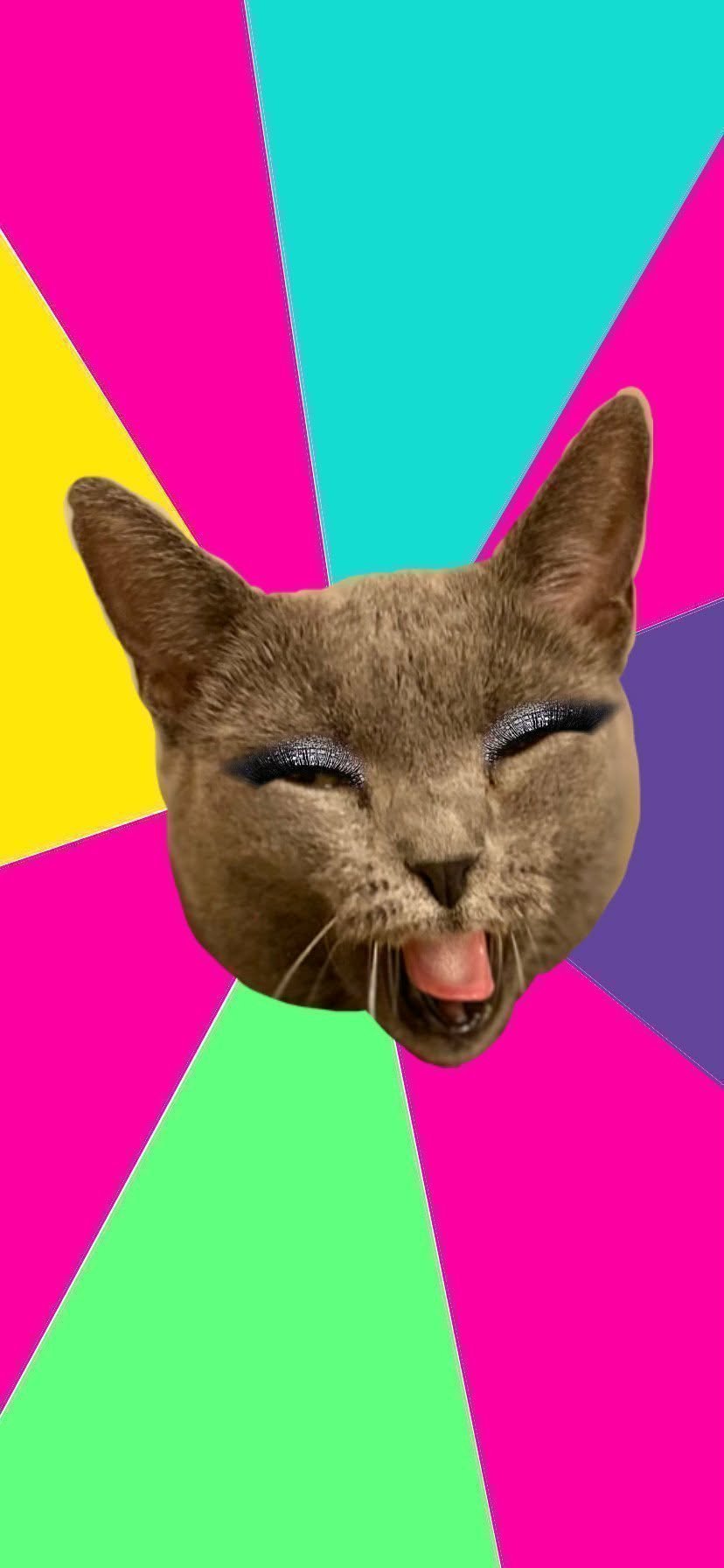 Trashy Cat Meme Template