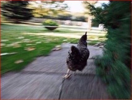 Wholesome Girlfriend Memes Template