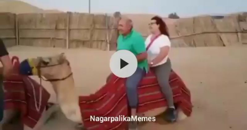 Titanic Flute Meme | Funny Titanic Meme | Memes 2019