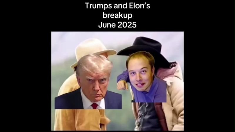 Trumps and Elon's Breakup June 2025 Funny Memes