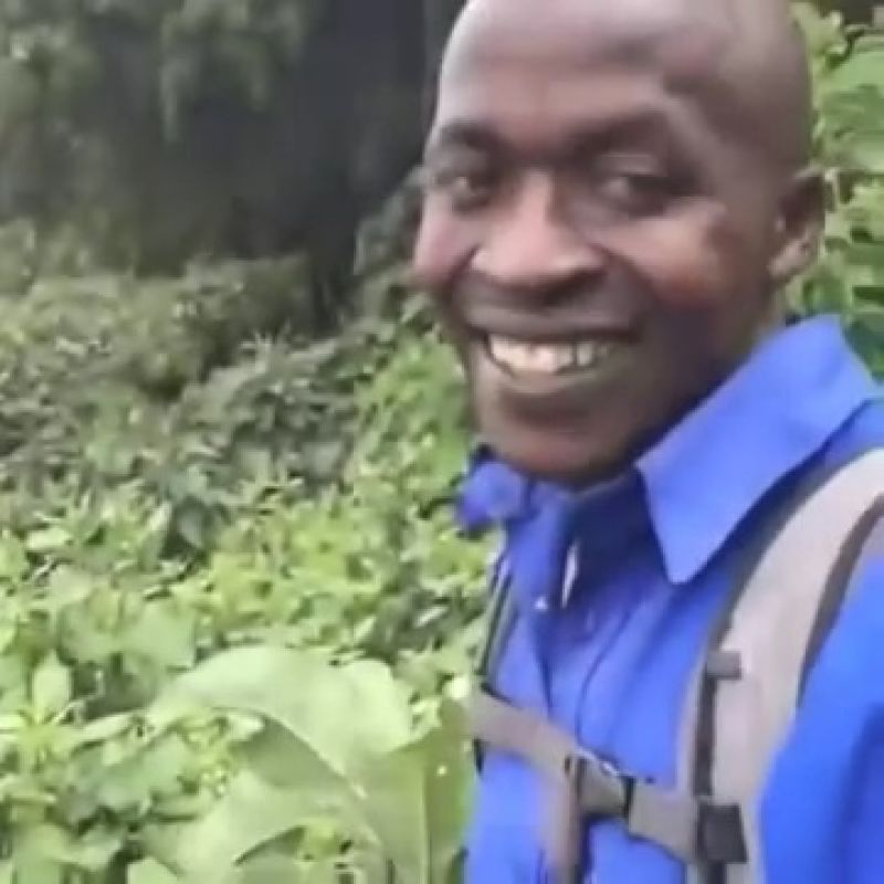 Okay Meme Video Download Meme Template