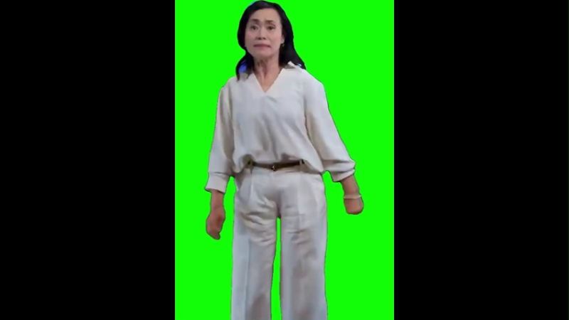 Squid Games Cast Dodge dance Green Screen Memes Download