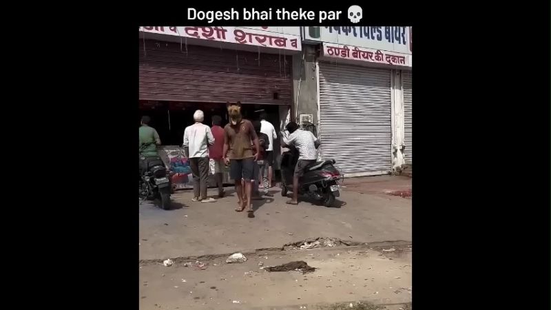 Guy Wearing Dog Mask At The Liquor Shop Funny Memes Dog