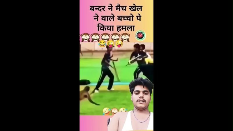 Monkey Attacks Kids During Match Hilarious Viral Funny Memes Video