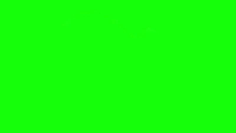 John Cena - Are You Sure About That? Green Screen Memes Download