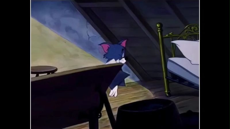 Tom going to sleep Trending Instagram Memes Download