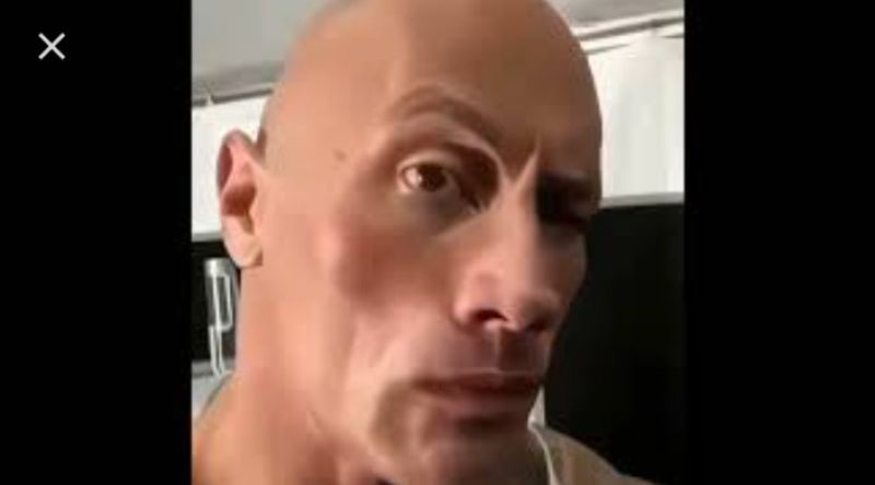 The Rock Eyebrow Meme Download