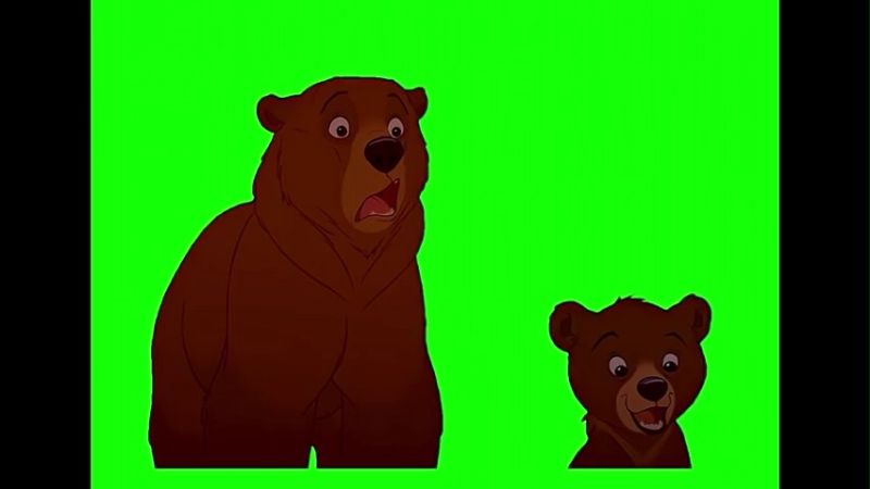 Kenai saying &#34;What?&#34; to Koda Green Screen Memes Download