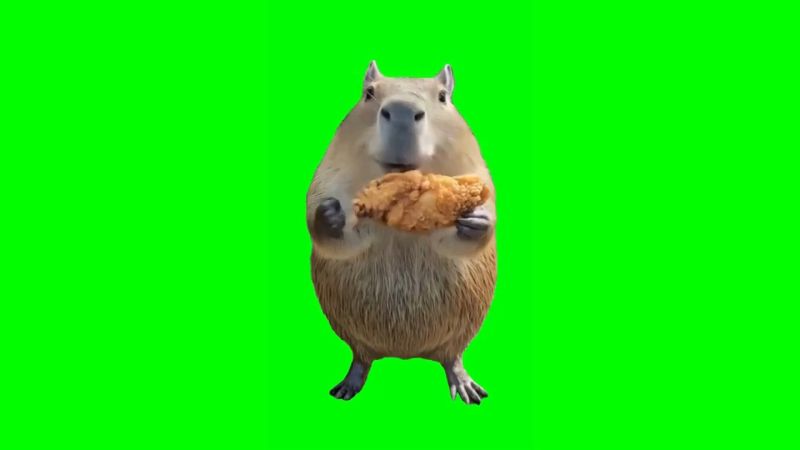 Chicken Win Song Meme Template Download