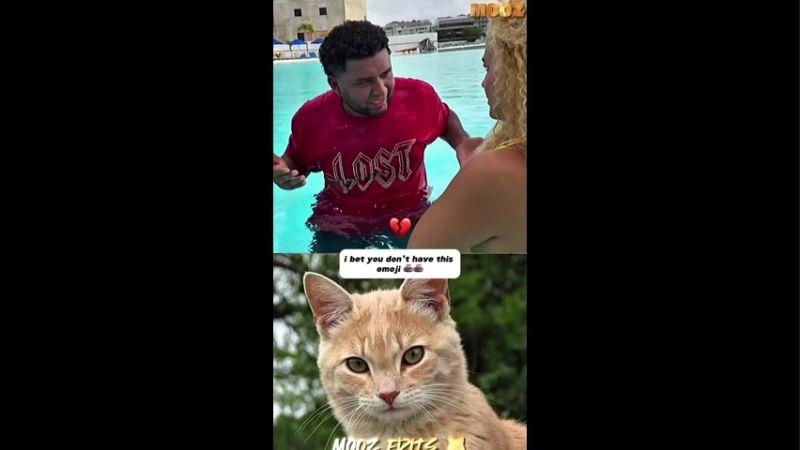 Cat and Men Viral Funny Memes
