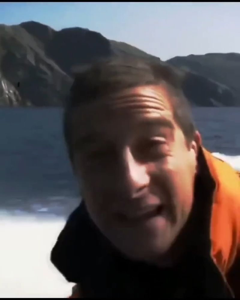 Bear Grylls Meme Video Download