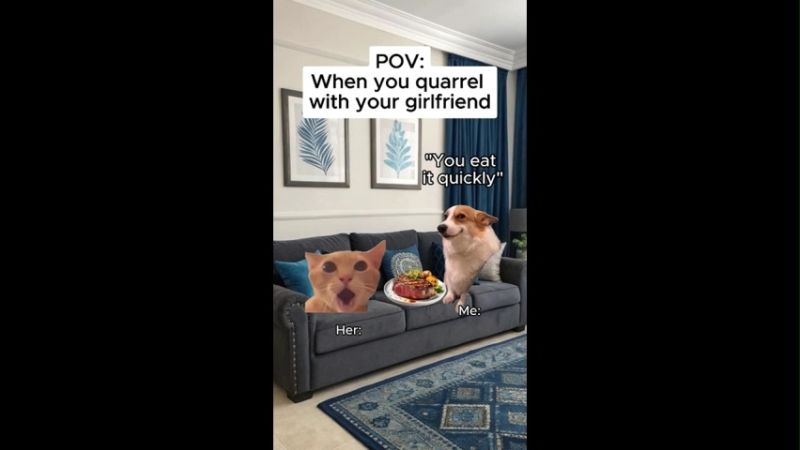 Hilarious Relationship Funny Memes Video