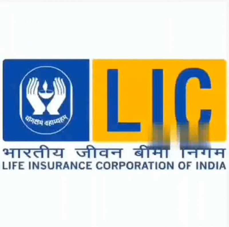 LIC Life Insurance Meme Download Meme Template