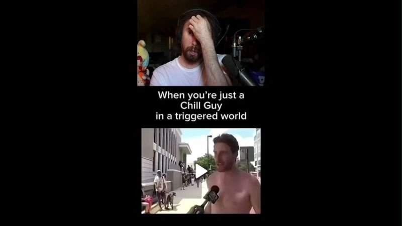 He's Just A Chill Guy Memes Download