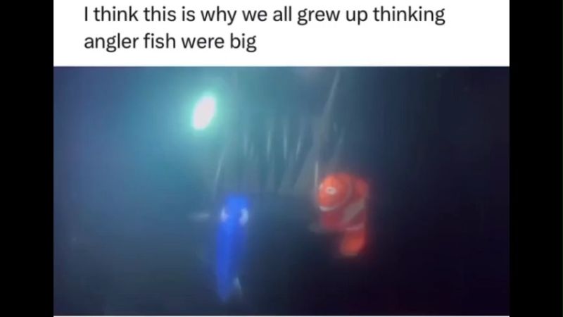 Fish Thinking Funny Memes Download