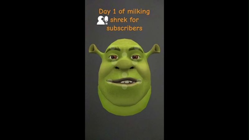 Popular Memes