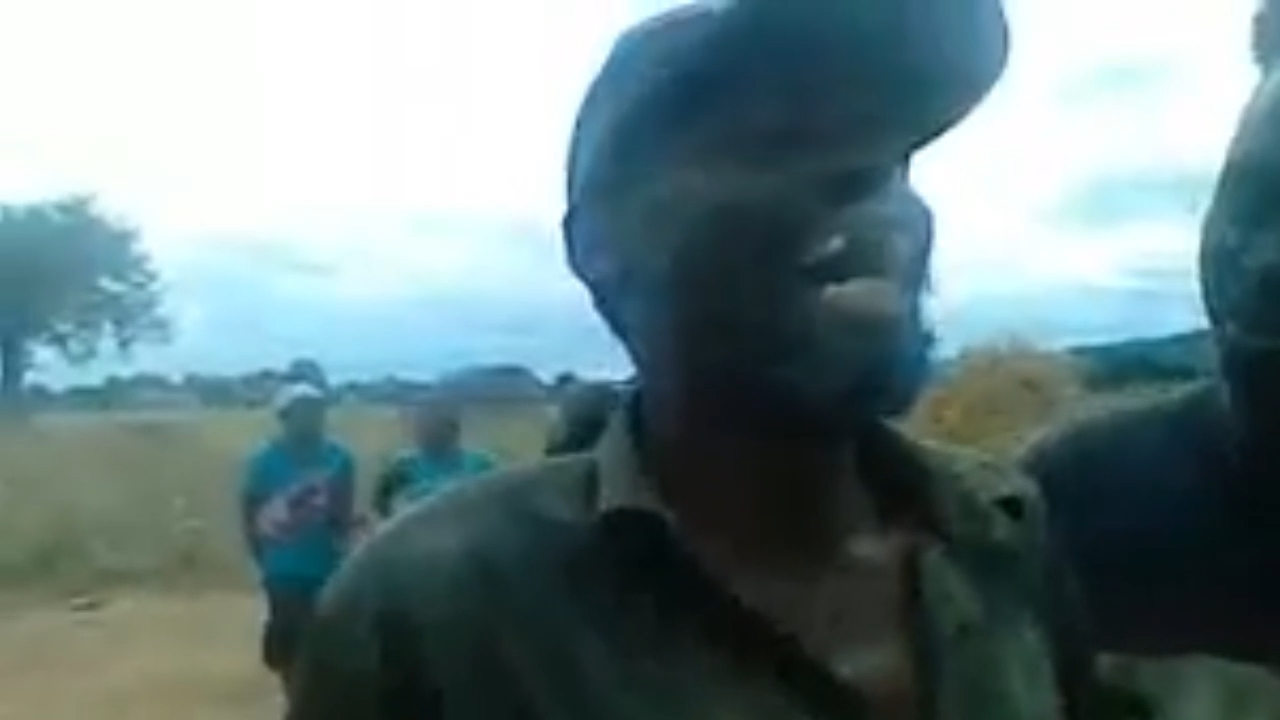 African Man Laughing Meme Video Download