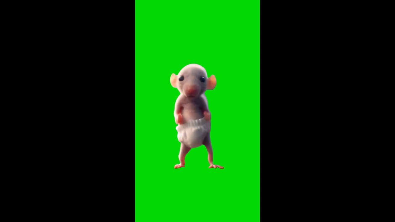 Sigma Rat Dancing Meme Download