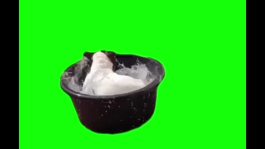 Dog Splashing In The Pool Green Screen Meme Download