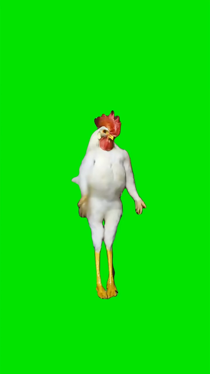 Chicken Stars Green Screen Memes Download