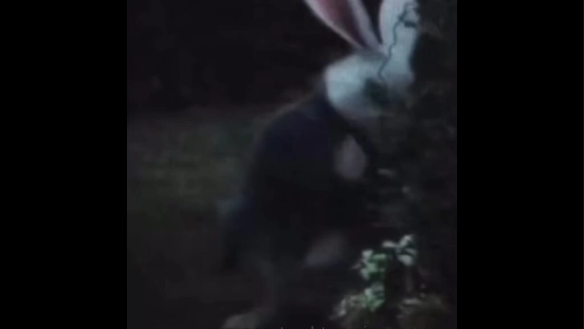 All Ways Lead To Rome Viral Meme Template Download