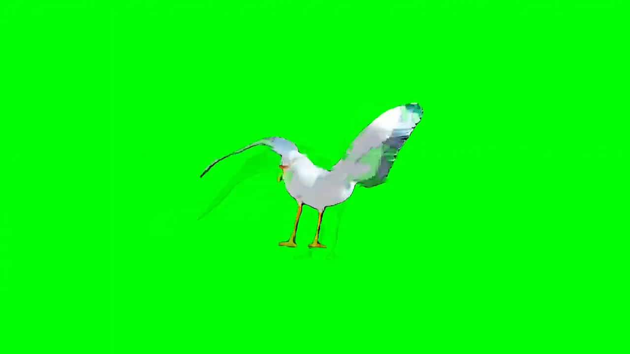 Gmod Seagull Dancing Green Screen Memes Download