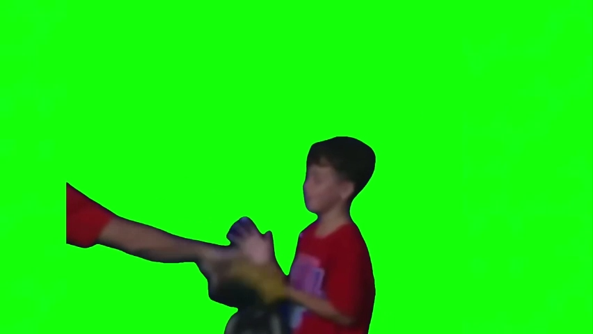 Philly Baseball Karen Green Screen Memes Download