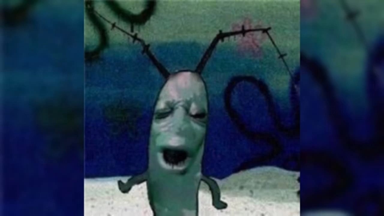 Plankton Meme Download