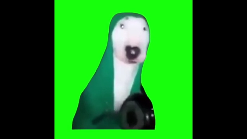 Dog Hitting Pan Green Screen Memes Video Download