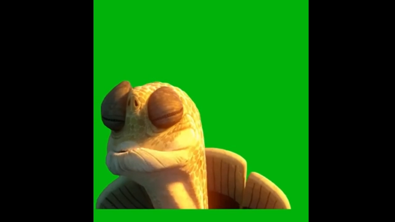 Master Oogway 'Finally, inner peace' Green Screen Meme Template Video Download