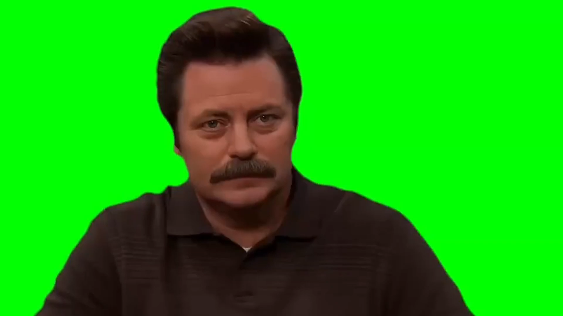 Ron Swanson Its So Beautiful Green Screen Memes Download