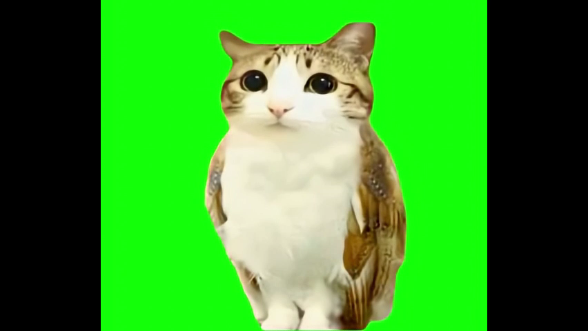 Meow Green Screen Memes Download