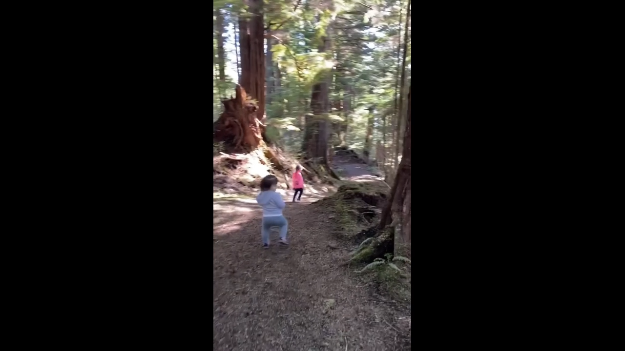 Download Memes For Viral Funny Videos