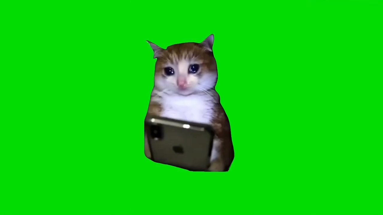 Cat Crying With a Phone Green Screen Memes Download