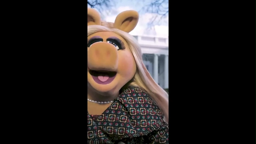 Quiet Piggy Meme Template Download