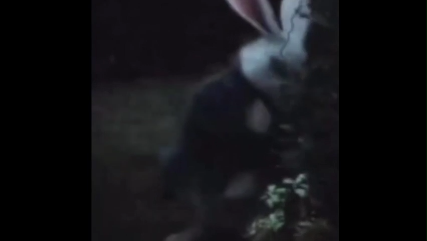 All Ways Lead To Rome Meme Video Download