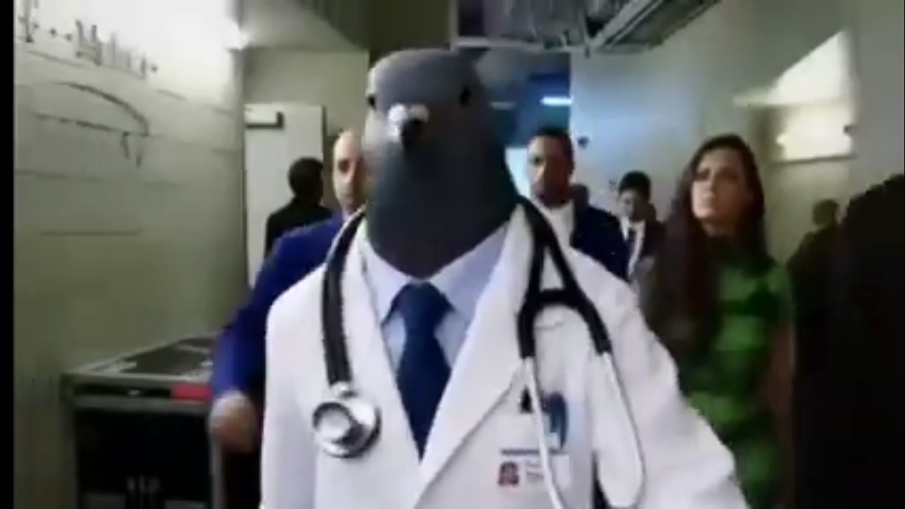 Pigeon Doctor Walking Meme Download