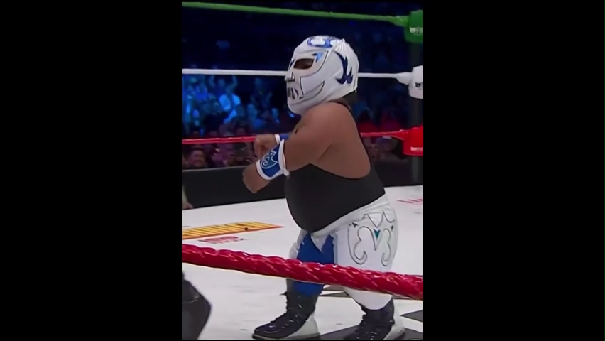 WWE Memes Video Download