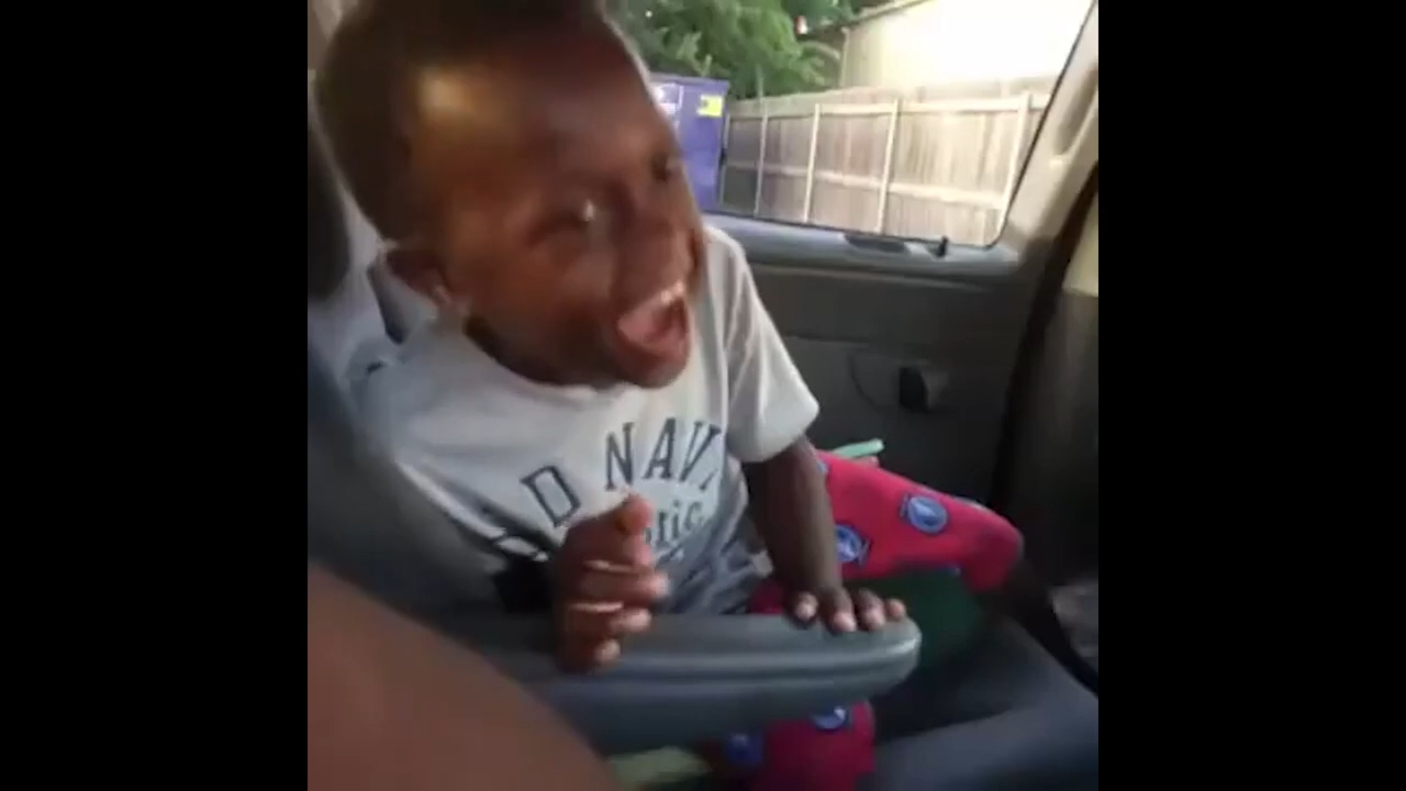 Black Kid Laughing In a Car Meme Video Download