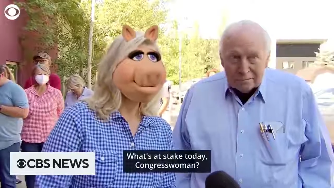 Liz Cheney Interview Funny Meme Video Download